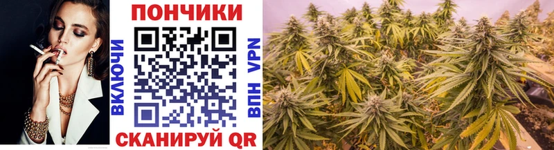 Хочу наркоту Тихвин Псилоцибиновые грибы  СОЛЬ  Меф  COCAIN  Канабис 