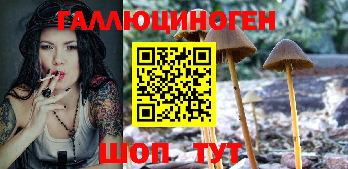 Тихвин  Псилоцибиновые грибы Psilocybine cubensis  Вход с VPN 